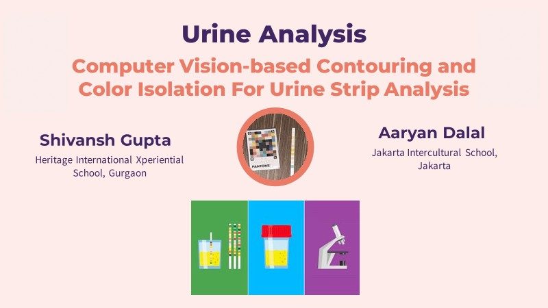 Urine Strip Analysis